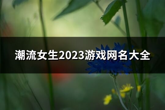 潮流女生2023游戏网名大全(共1409个)