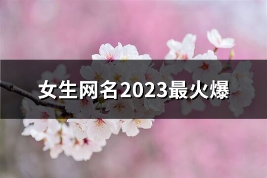 女生网名2023最火爆(共231个)