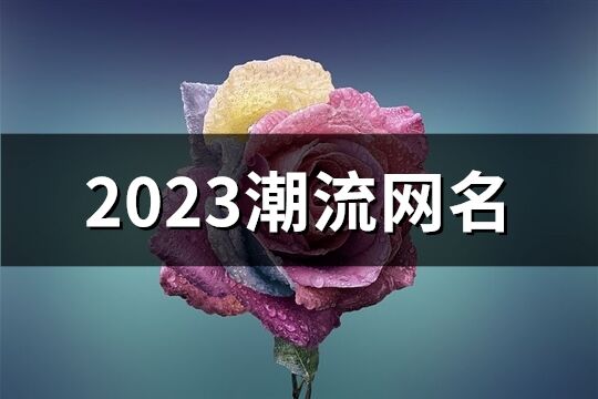 2023潮流网名(509个)