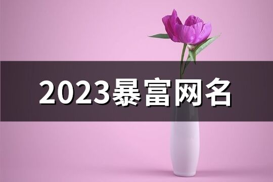 2023暴富网名(精选157个)