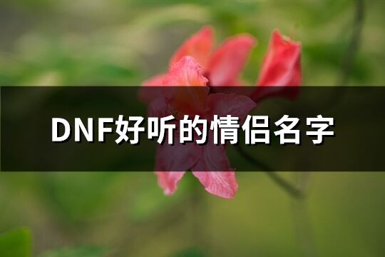 DNF好听的情侣名字(共62个)