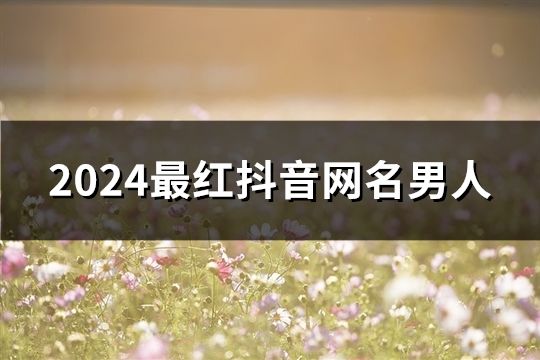2024最红抖音网名男人(283个)