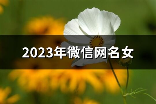 2023年微信网名女(精选1745个)