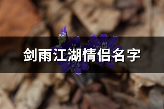 剑雨江湖情侣名字(精选84个)
