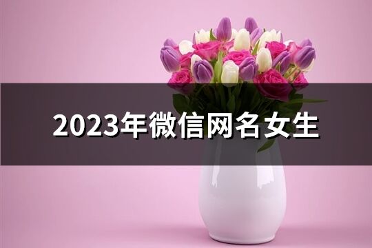 2023年微信网名女生(共1280个)