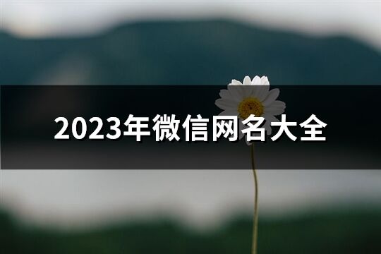 2023年微信网名大全(共289个)