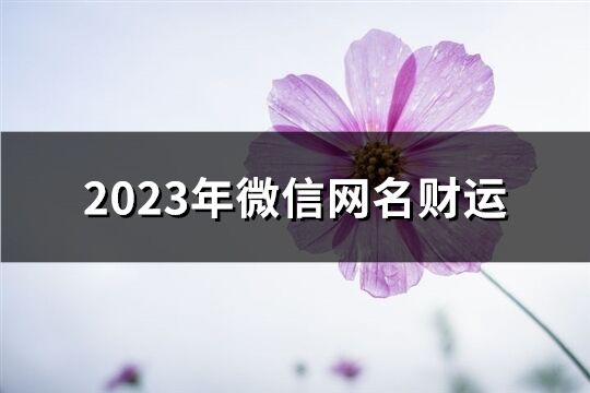 2023年微信网名财运(602个)