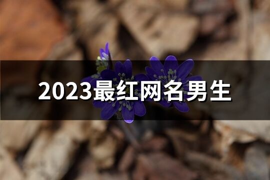 2023最红网名男生(精选537个)