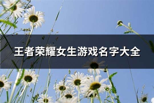 王者荣耀女生游戏名字大全(优选469个)