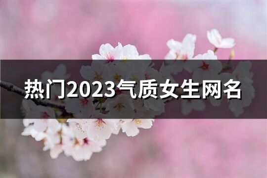 热门2023气质女生网名(共1658个)