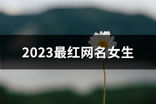 2023最红网名女生(共1142个)