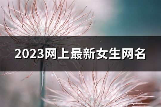 2023网上最新女生网名(精选84个)