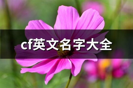 cf英文名字大全(共114个)