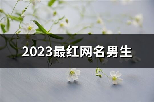 2023最红网名男生(优选826个)