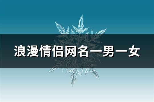 浪漫情侣网名一男一女(共107组)