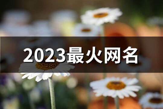 2023最火网名(优选1254个)