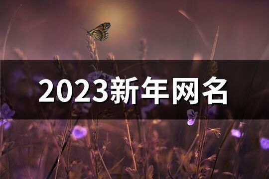 2023新年网名(共199个)